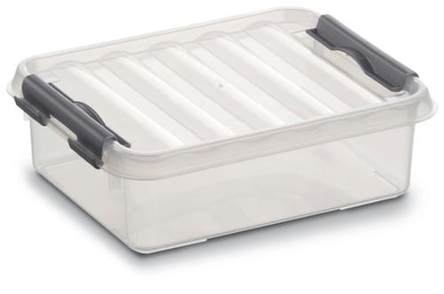 Conteneur de stockage gerbable transparent