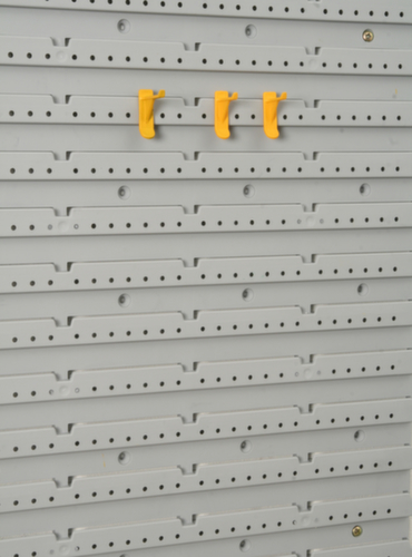 Allit Assortiment de crochets StorePlus Flex P 30+40