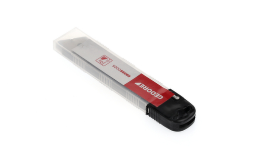 R93950025 Lames sécables de rechange largeur 25 mm 10 pièces