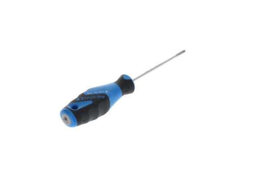 2163 TX T10 Tournevis 3C TX T10