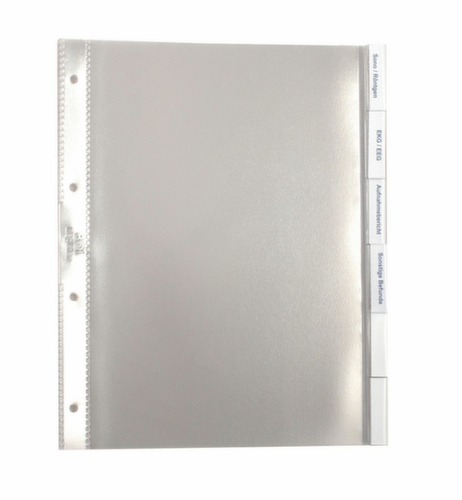 EICHNER Pochette transparente HO 1203-Blanko pour documents, transparent, DIN A4