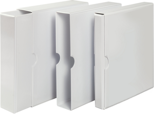 EICHNER Classeur à anneaux et étui