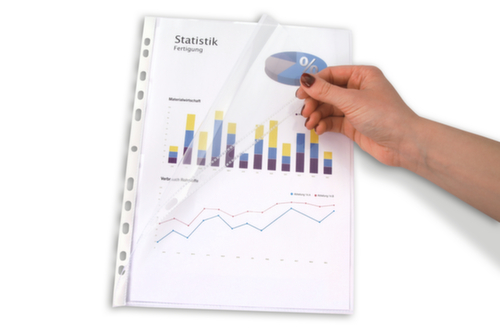 EICHNER Pochette transparente 257/4 pour documents, transparent, DIN A4