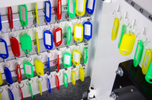 Phoenix Safe armoire à clés CYGNUS