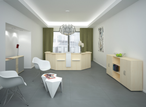 Rehausse de banque d'accueil avec compartiments