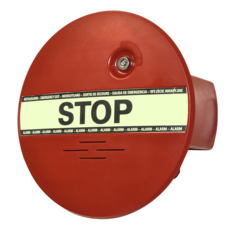 Surveillance de porte DEXCON® GfS