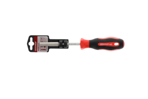 GEDORE R38950000 Tournevis à embouts 1/4 100mm manche 2K