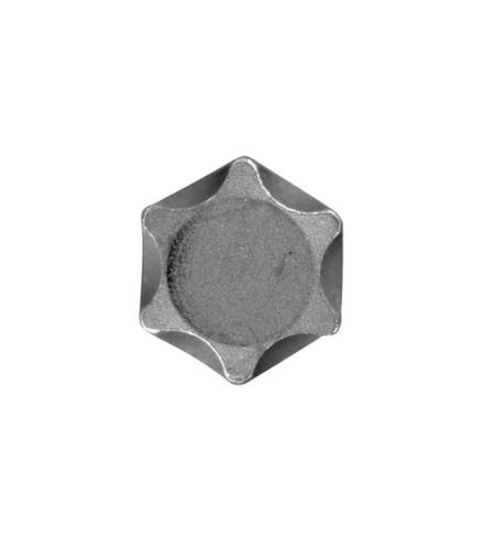 R62452219 Embout de vissage 1/2" TX T55 Longueur 100 mm