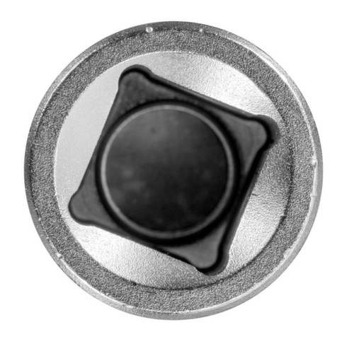 R62452219 Embout de vissage 1/2" TX T55 Longueur 100 mm