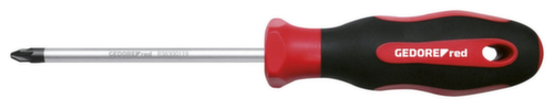 R38300119 Tournevis 2K PZ1 100 mm