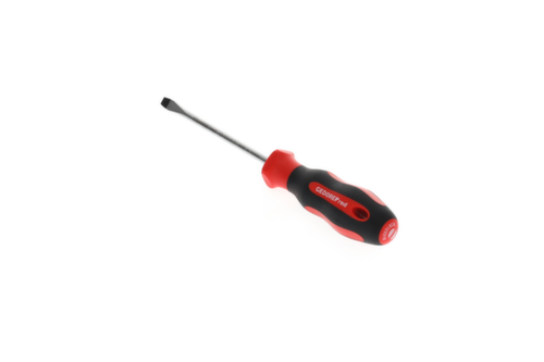 R38105519 Tournevis 2K fente 5.5 mm 1x100 mm