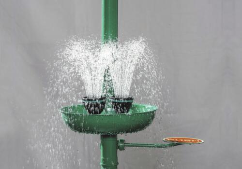 Denios Douche oculaire