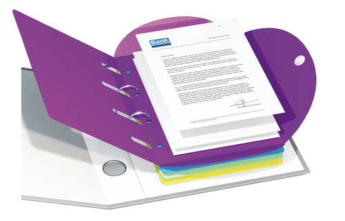 tarifold Kit de chemises porte-documents Smartfolder®, triés selon les couleurs  L