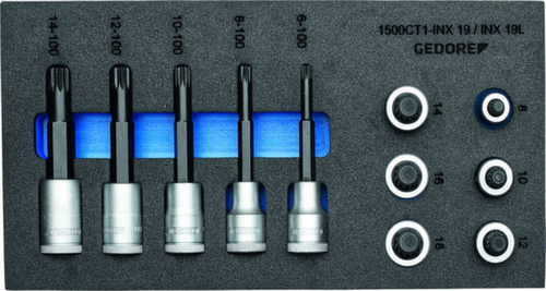 GEDORE 1500 CT1-INX 19 LK Jeu de douilles de tournevis 1/2" dans le module Check-Tool  L