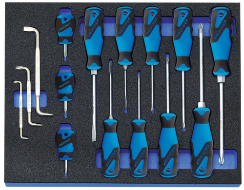 GEDORE 2005 CT2-2160 Jeu de tournevis dans le module Check-Tool