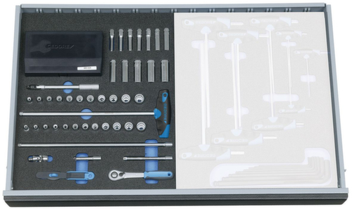 GEDORE 2005 CT2-D 20 Assortiment de douilles 1/4" dans le module Check-Tool  L