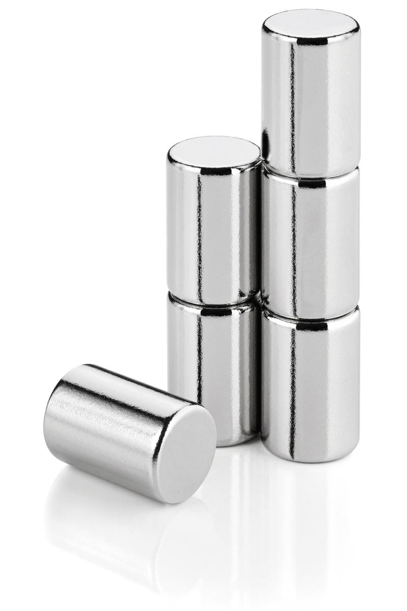 Blomus 6 aimants pure home WELCOME, argent, hauteur x Ø 10 x 8 mm